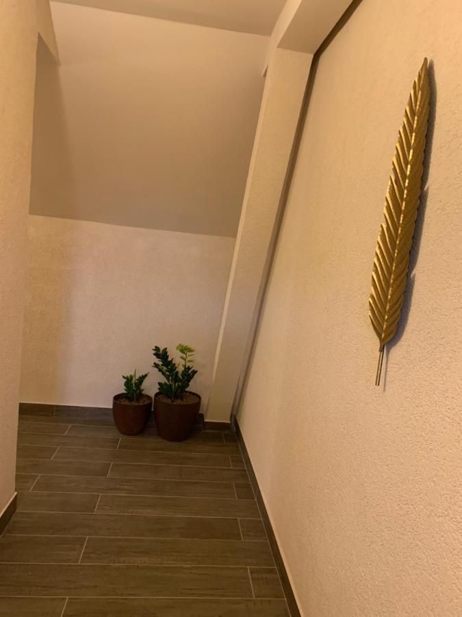 Braun Residence Săcele Εξωτερικό φωτογραφία